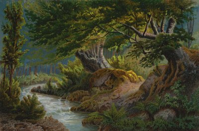 Bosque en Les Plans de Unbekannt Unbekannt